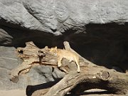 DSC02335