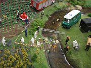 DSC02454