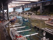 DSC02505