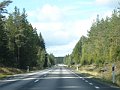 DSC02231